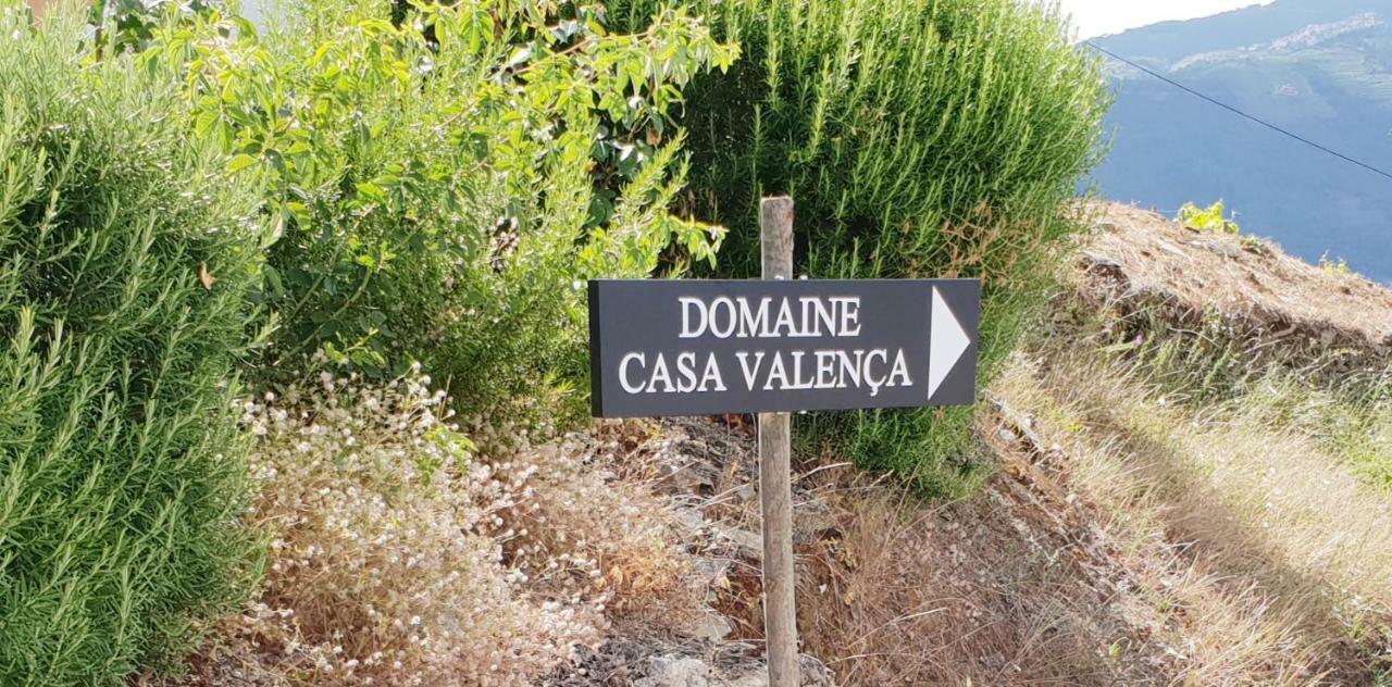 Valença do Douro Pinhão Casa com piscina privada Vila Exterior foto